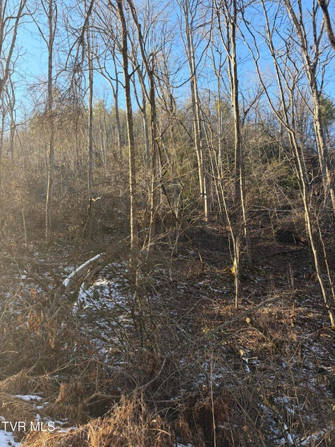 Photo #18: Tbd W Of Williams Lane