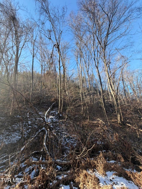 Photo #19: Tbd W Of Williams Lane