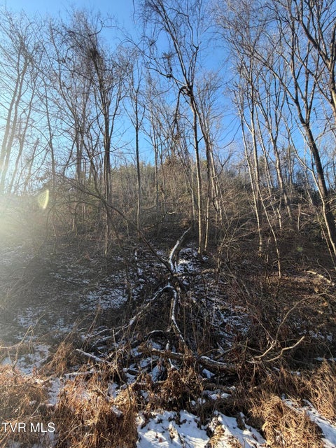 Photo #20: Tbd W Of Williams Lane