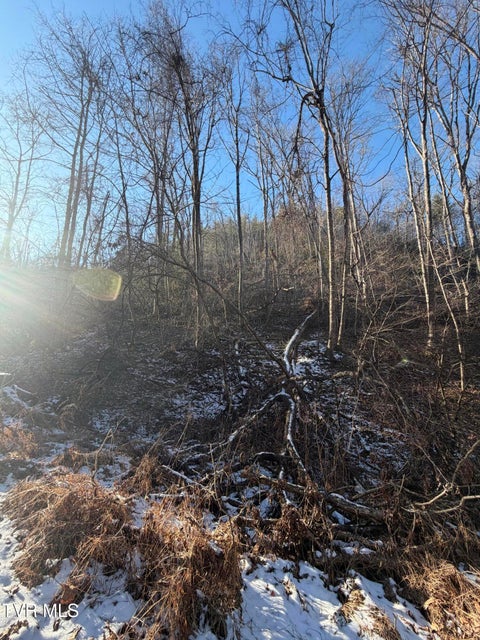 Photo #21: Tbd W Of Williams Lane