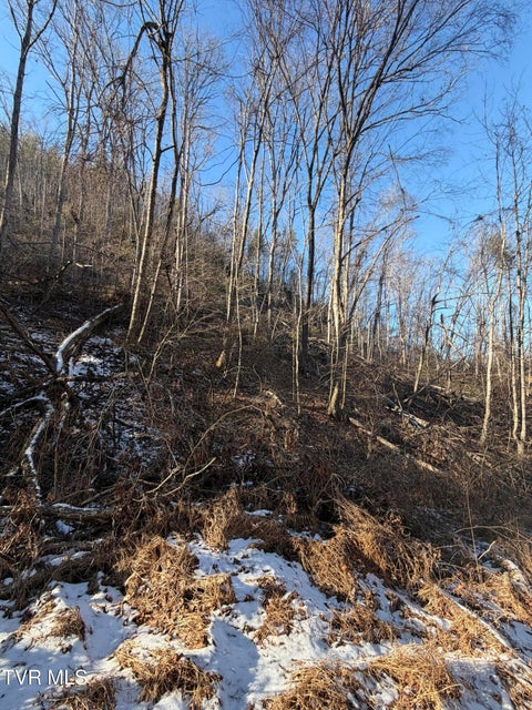 Photo #22: Tbd W Of Williams Lane