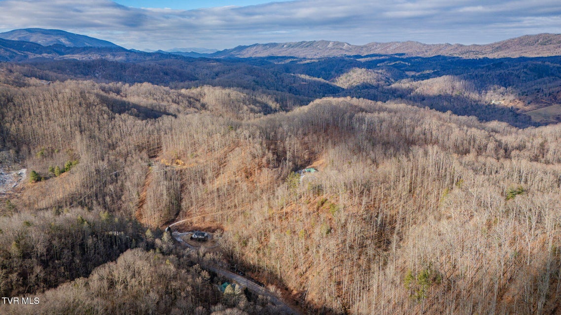 Photo #29: 228 Tiger Creek Road