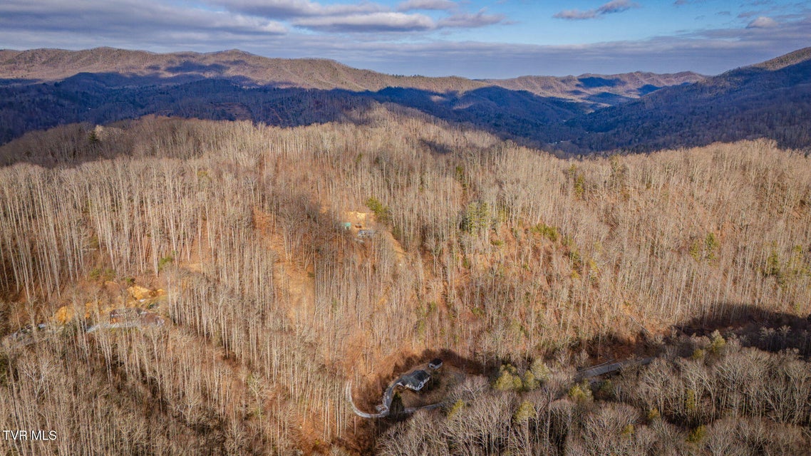 Photo #31: 228 Tiger Creek Road