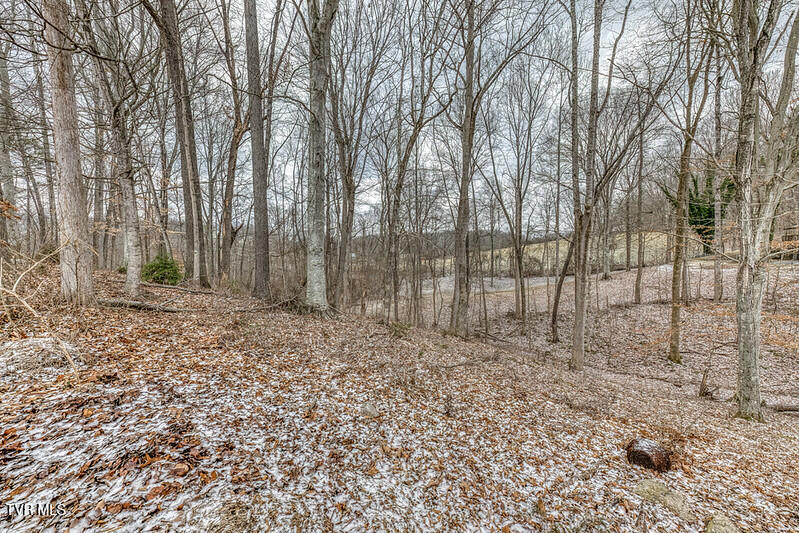 Photo #5: Tbd Victor Drive