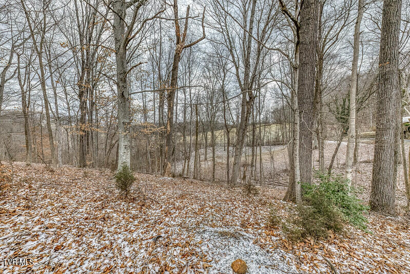 Photo #6: Tbd Victor Drive