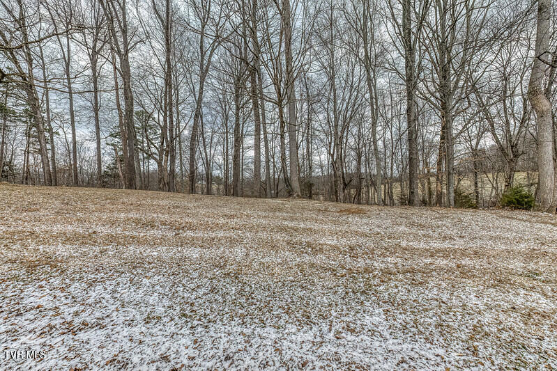 Photo #7: Tbd Victor Drive