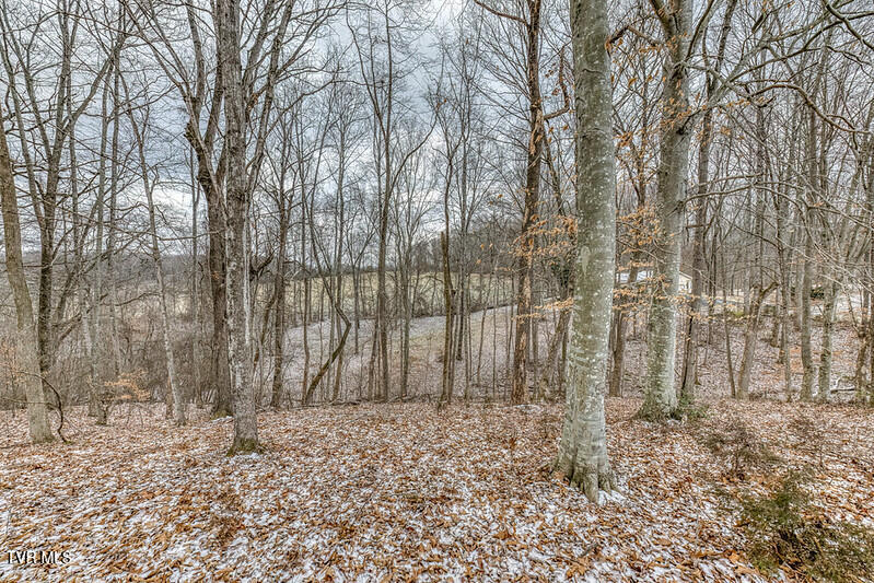 Photo #10: Tbd Victor Drive