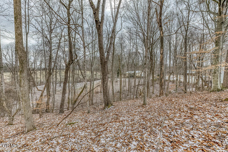 Photo #11: Tbd Victor Drive