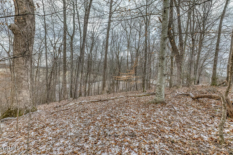 Photo #12: Tbd Victor Drive