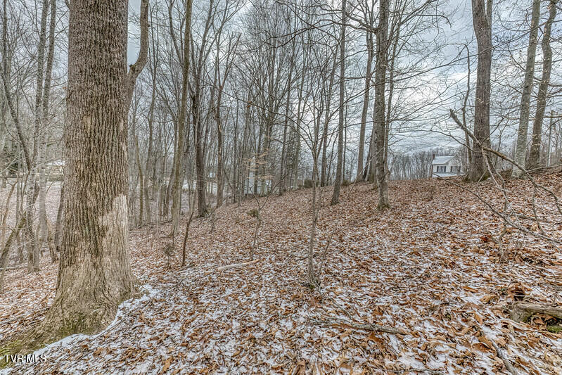 Photo #13: Tbd Victor Drive