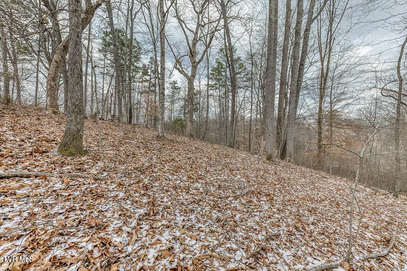 Photo #14: Tbd Victor Drive