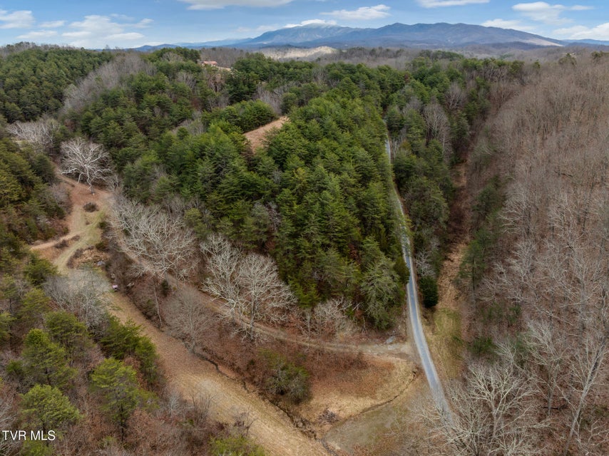 Photo #7: 1135 Piney Flats Road