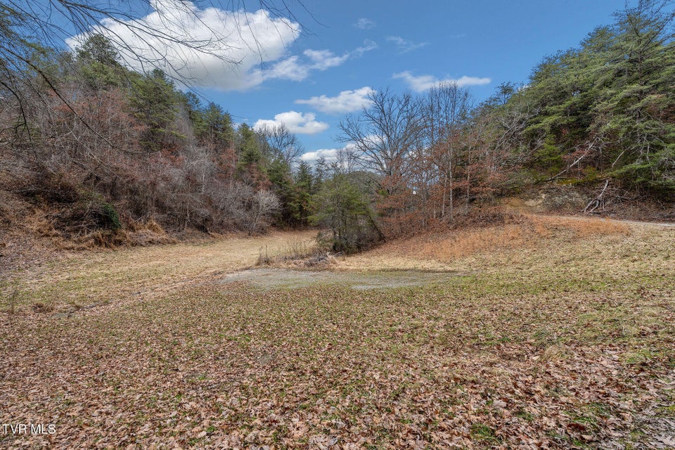 Photo #14: 1135 Piney Flats Road