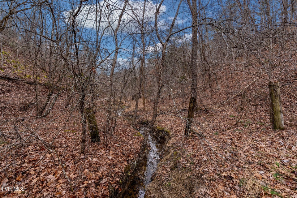 Photo #16: 1135 Piney Flats Road