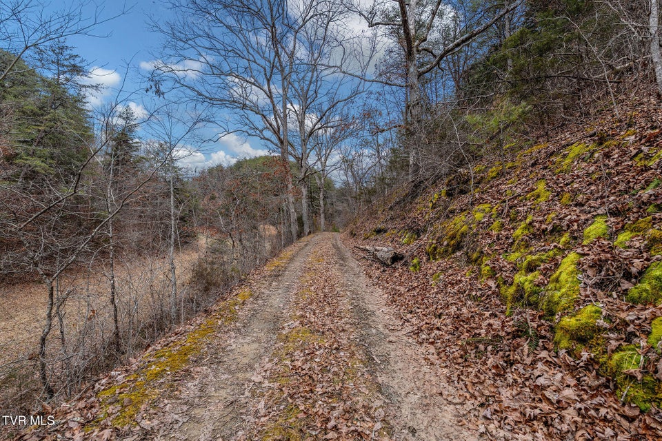 Photo #17: 1135 Piney Flats Road