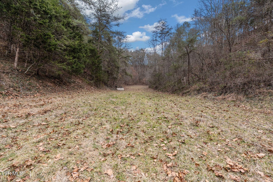 Photo #18: 1135 Piney Flats Road