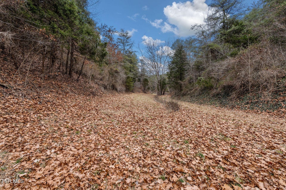 Photo #19: 1135 Piney Flats Road