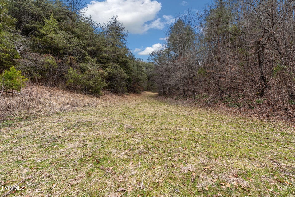 Photo #20: 1135 Piney Flats Road