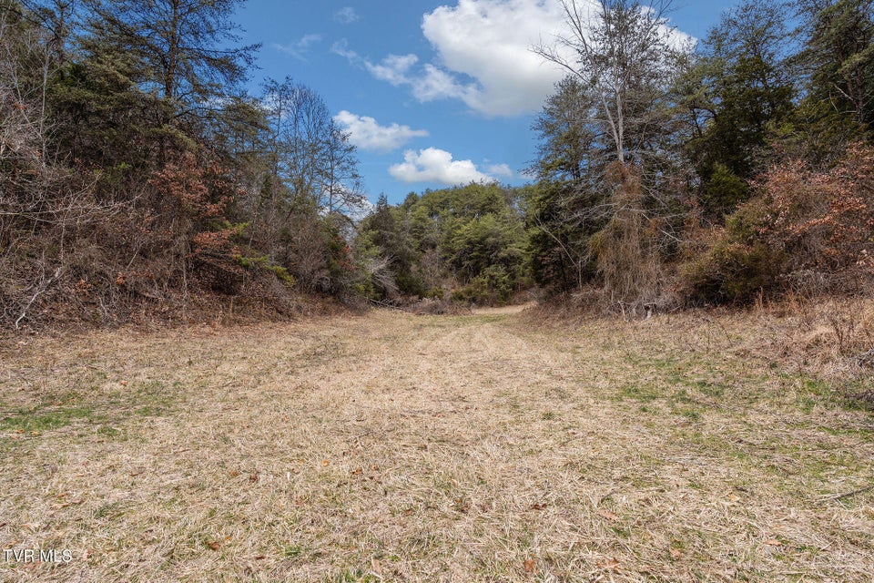 Photo #21: 1135 Piney Flats Road