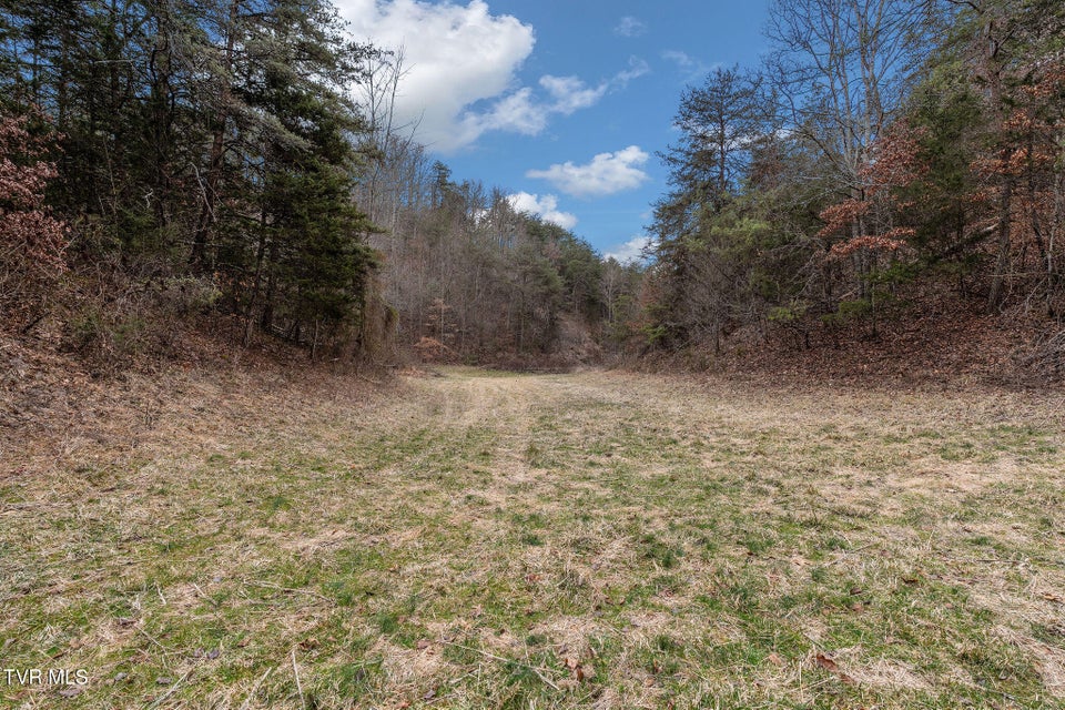 Photo #22: 1135 Piney Flats Road