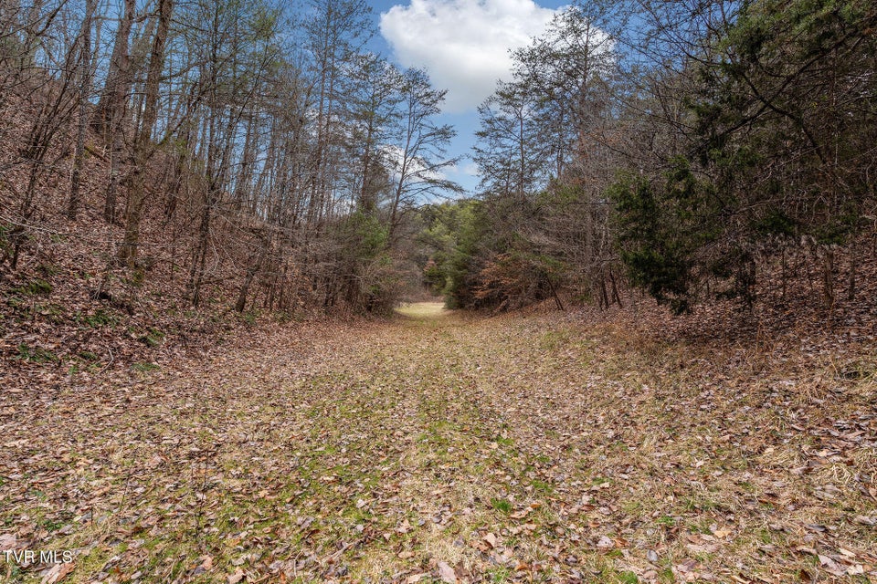 Photo #23: 1135 Piney Flats Road