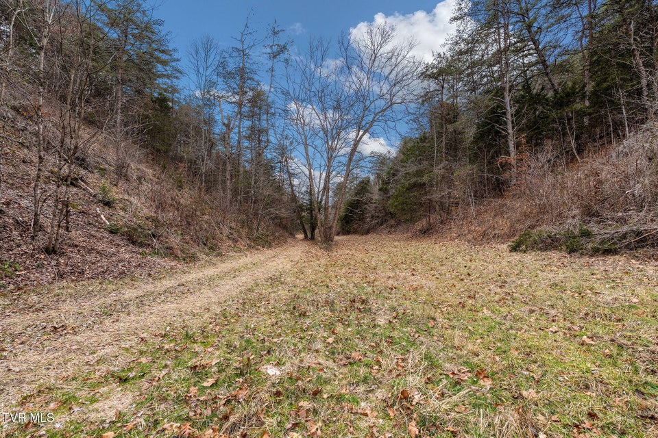 Photo #25: 1135 Piney Flats Road