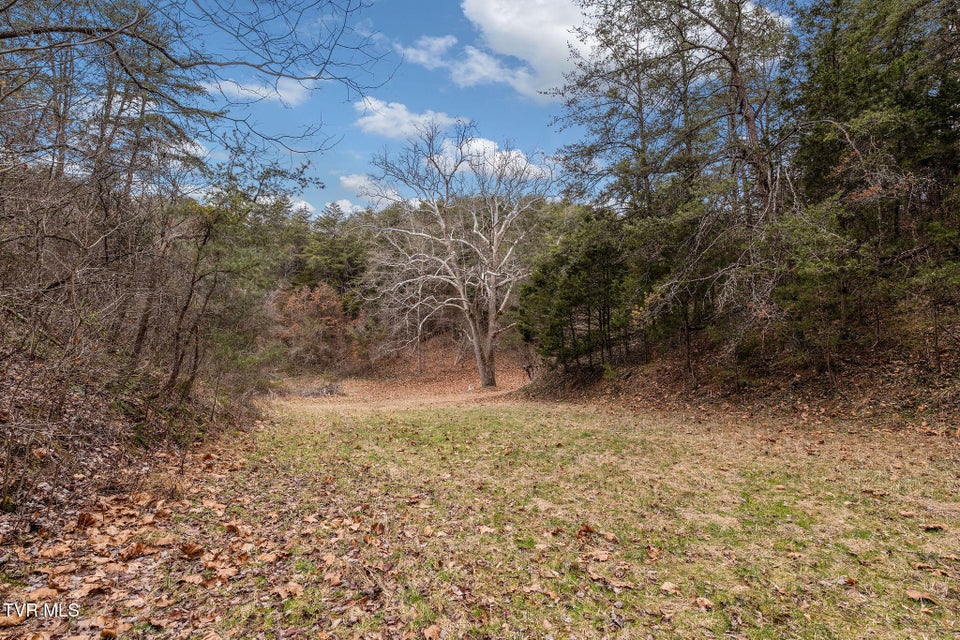 Photo #27: 1135 Piney Flats Road