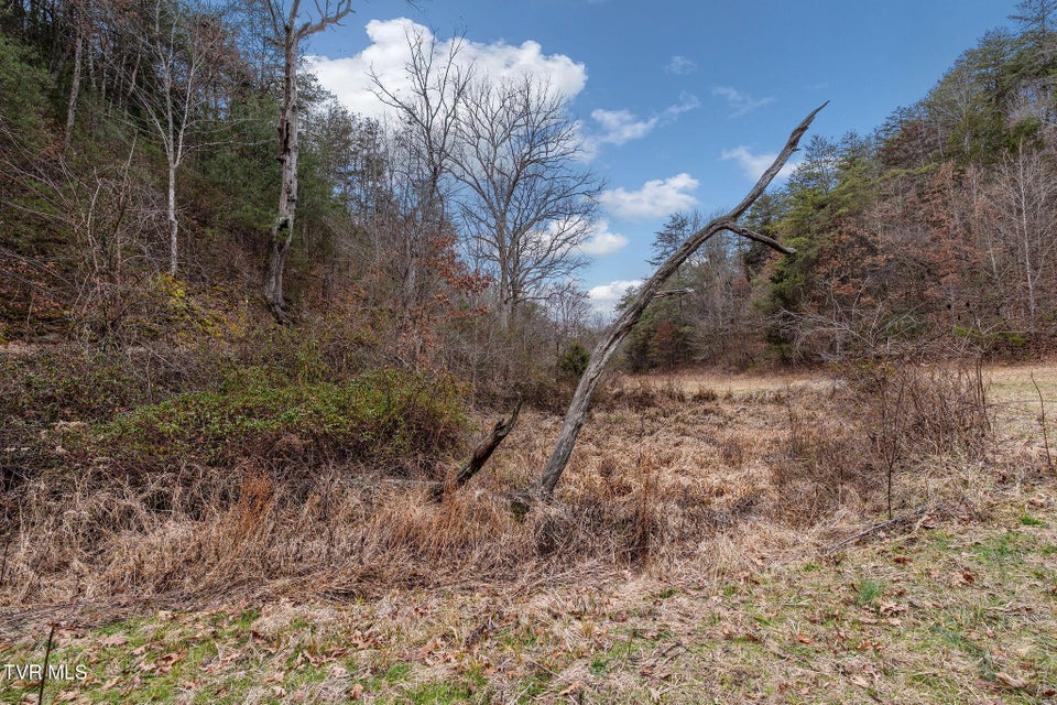 Photo #28: 1135 Piney Flats Road