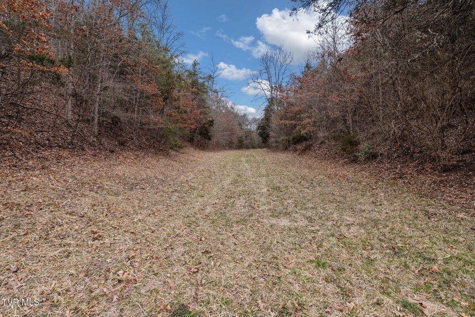 Photo #29: 1135 Piney Flats Road