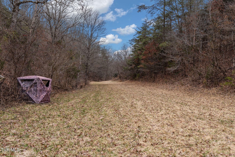 Photo #30: 1135 Piney Flats Road