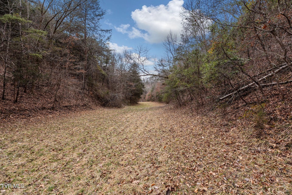 Photo #31: 1135 Piney Flats Road