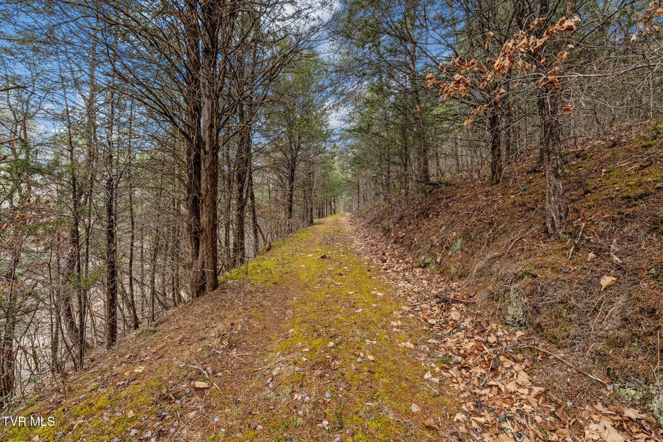 Photo #32: 1135 Piney Flats Road