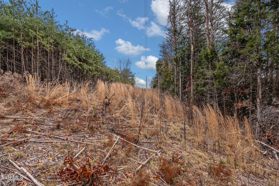 Photo #33: 1135 Piney Flats Road