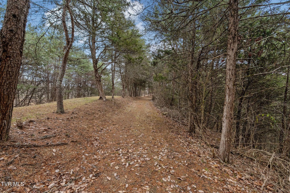 Photo #34: 1135 Piney Flats Road