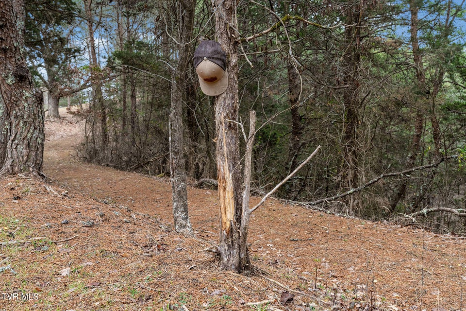 Photo #35: 1135 Piney Flats Road