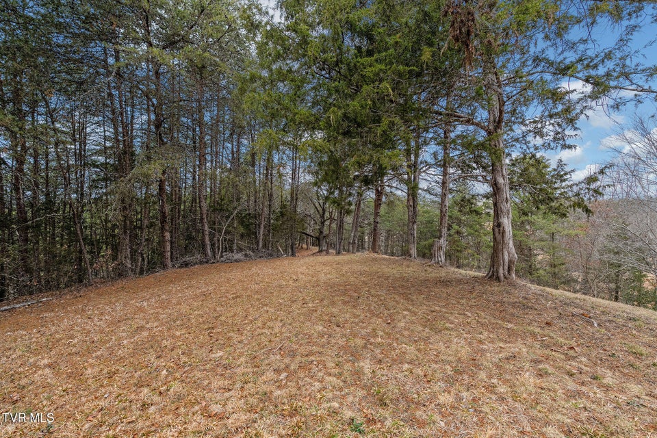 Photo #36: 1135 Piney Flats Road