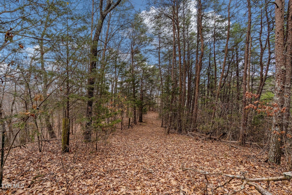 Photo #37: 1135 Piney Flats Road