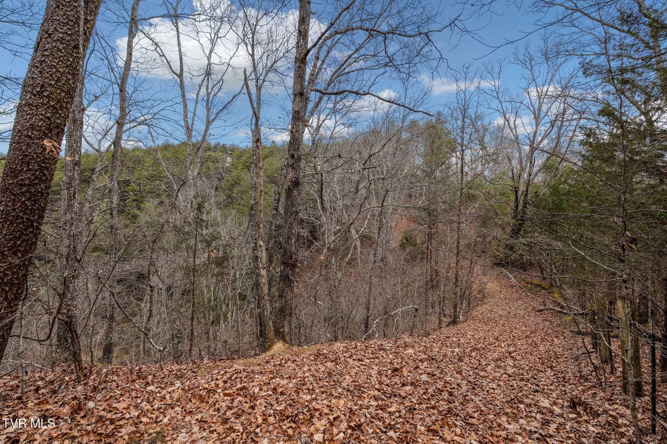 Photo #39: 1135 Piney Flats Road