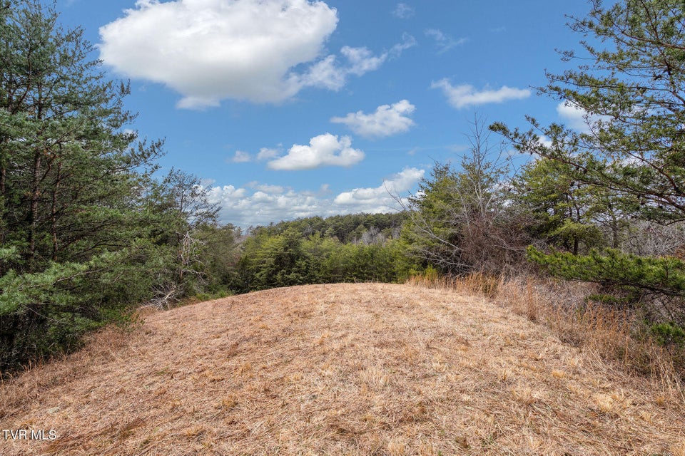 Photo #41: 1135 Piney Flats Road