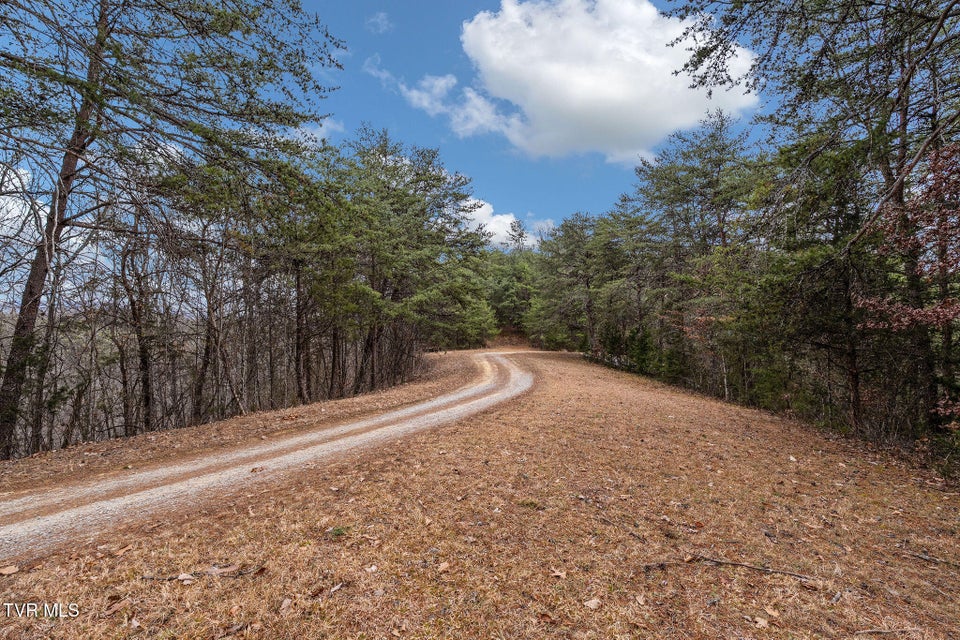 Photo #42: 1135 Piney Flats Road