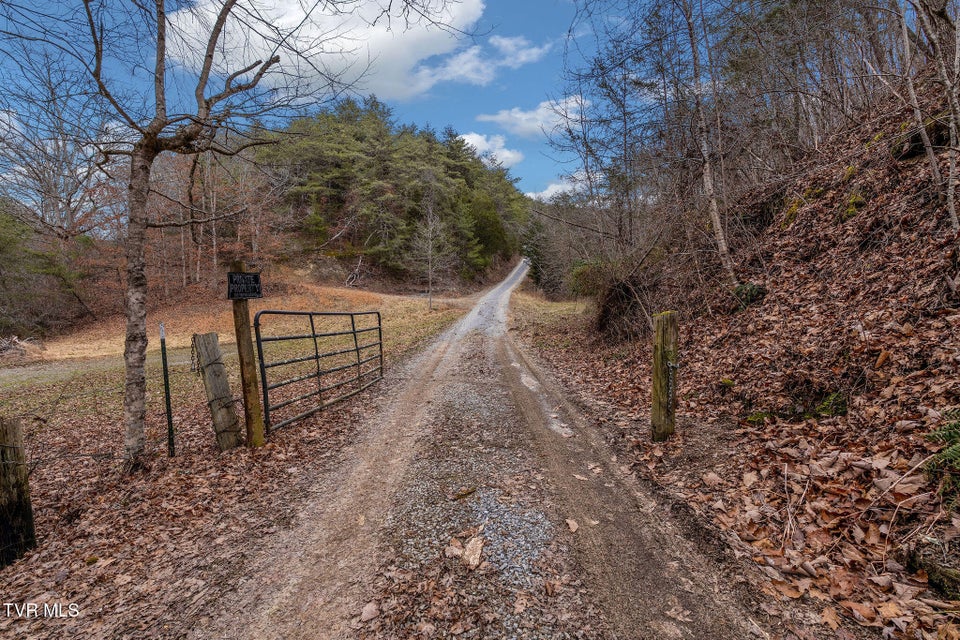 Photo #47: 1135 Piney Flats Road