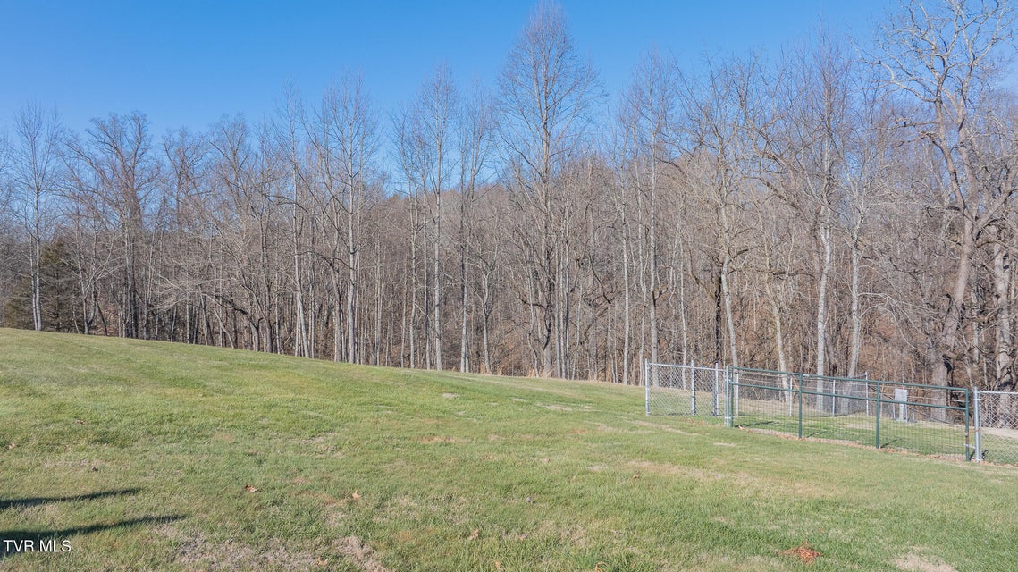 Photo #34: 649 Gap Creek Road Road