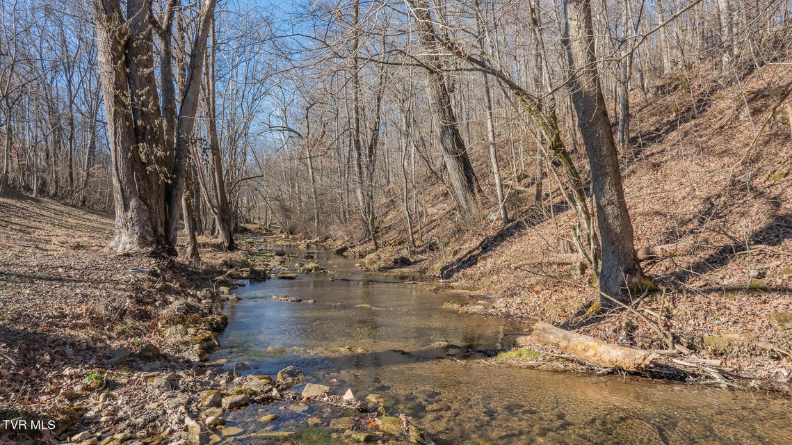 Photo #37: 649 Gap Creek Road Road