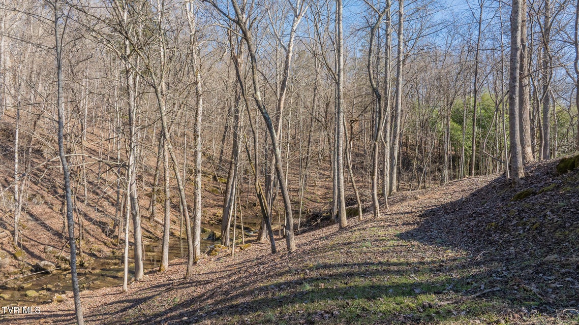 Photo #38: 649 Gap Creek Road Road