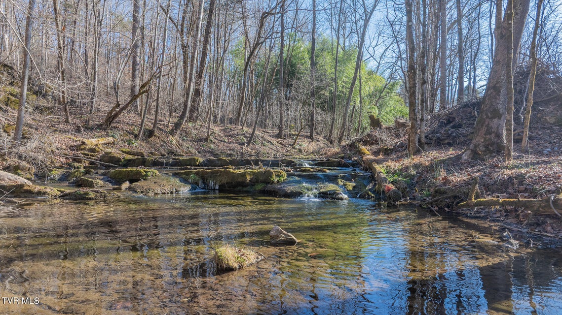 Photo #39: 649 Gap Creek Road Road