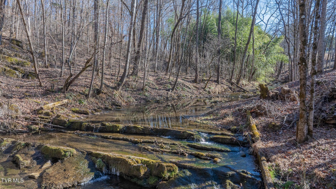Photo #40: 649 Gap Creek Road Road