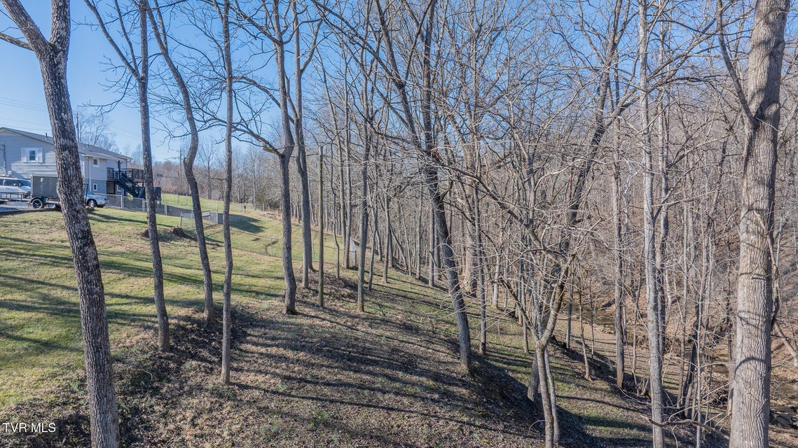 Photo #42: 649 Gap Creek Road Road