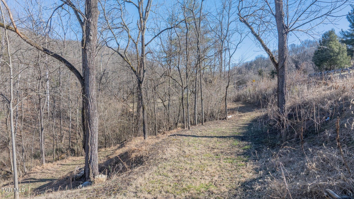 Photo #44: 649 Gap Creek Road Road