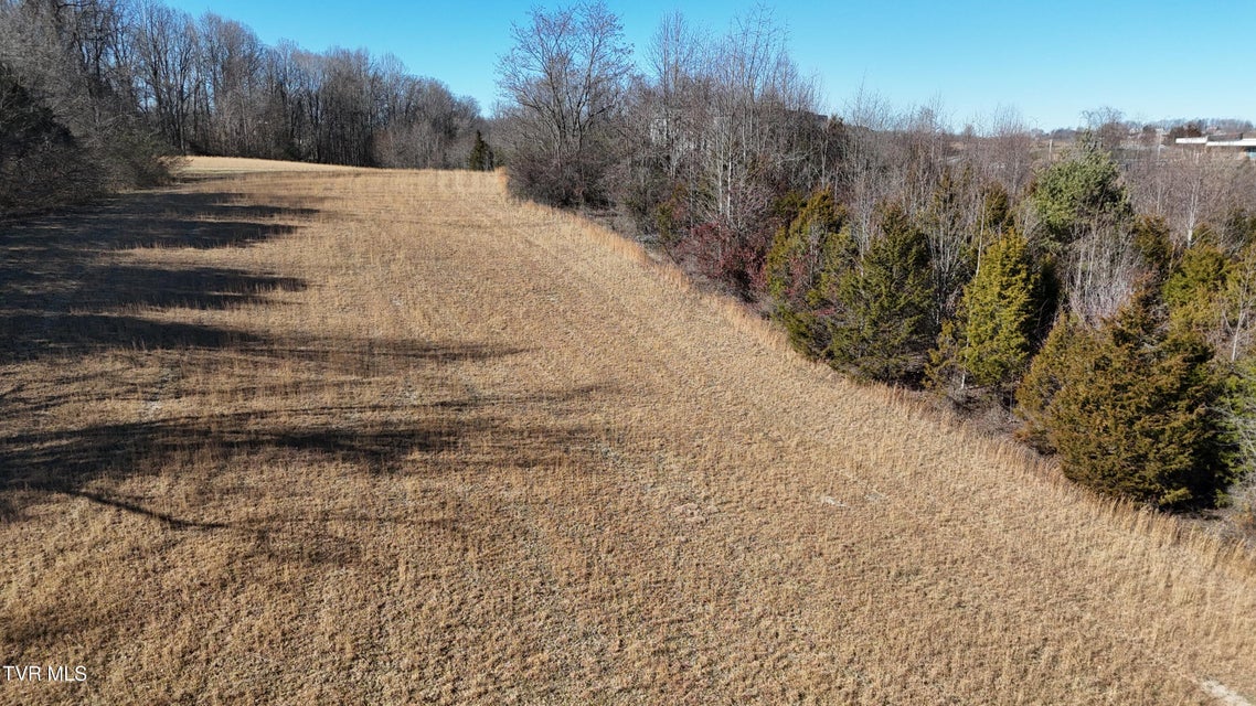 Photo #42: Tbd Heart Drive