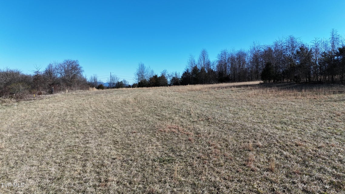 Photo #50: Tbd Heart Drive